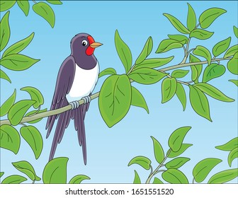 Small cute swallow perched on a thin branch with green spring leaves, vector cartoon illustration