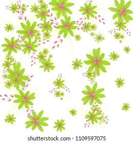 Small Daisy Flowers. Delicate Tiny Daisies on White Background. Vector Texture for Print, Card, Poster. Trendy Natural Ground in Vintage Style.