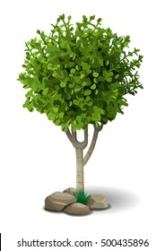 Small deciduous tree on a white background with stones. Vector graphics