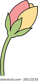 Small Delicate Green Flower Bud Beginning to Bloom With Clean Outlines on a Pure Minimalist White Background Scene