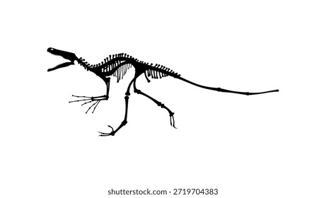 small Dinosaur Skeleton, black isolated silhouette