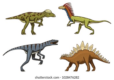 small dinosaurs, deinonychus, stegosaurus, velociraptor, pachycephalosaurus, skeletons, fossils. Prehistoric reptiles, Animal Hand drawn vector.
