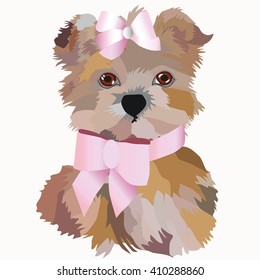 small dog