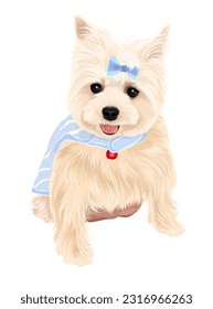 Small dog in blue dress cute puppy vector art