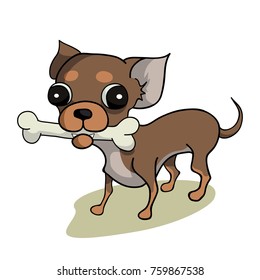 Small dog with bone
