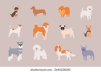 Coleção de raças de cães pequenos no vetor. Modernas ilustrações de estilo plano de Pug, Shiba Inu, Pomeranian e mais cachorrinhos bonitos para seus projetos