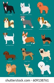 small dog breeds set with breeds names