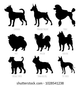 Small dog breeds silhouettes set. High detailed, smooth vector illustration