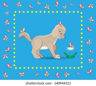 Small dog with chamomile and butterflies.