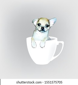 small dog in a cup vector illustration