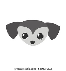 small dog face gray pet icon vector illustration eps 10