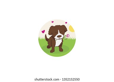 
small dog with a flower