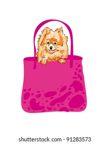 Small dog in her purse.Vector.