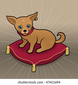 Small dog sitting on a pillow