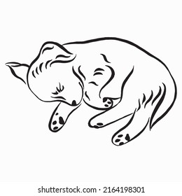 Small dog sleeping.  Cute Labrador puppy lying. Hand drawn doodle vector illustration. Linear drawing. Small dog sleeping.  Cute Labrador puppy lying. Hand drawn doodle vector illustration. 