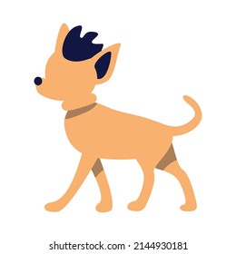 Small dog with stylish hairstyle semi flat color vector character. Punk subculture. Walking figure. Full body animal on white. Simple cartoon style illustration for web graphic design and animation