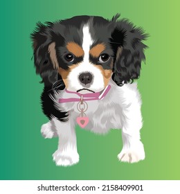 Small dog vector design with Color Background