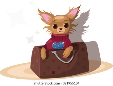 Small dog in the women's handbag. Chihuahua. Vector illustration.