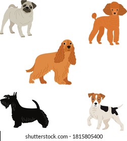 Small dogs. 5 vector dogs breed