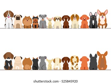 small dogs border set, front view and rear view