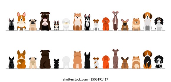 small dogs border border set, full length, front and back