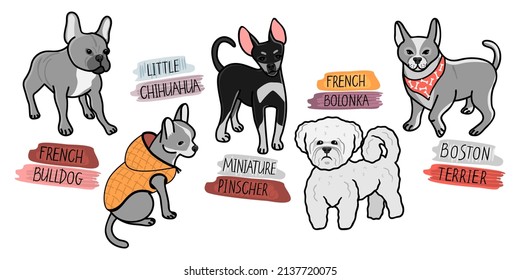 Small dogs breeds French Bulldog, Boston Terrier, Miniature Pinscher, Chihuahua and hand lettered text.Set of animal characters in cartoon isolated on white background.Hand drawn vector  illustration.