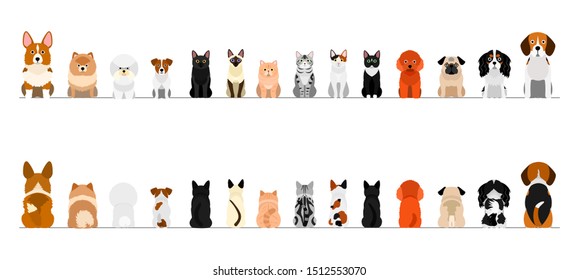 small dogs and cats border border set, full length, front and back