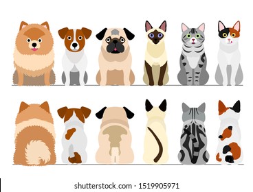 small dogs and cats border border set, full length, front and back