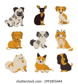 Small dogs of different breeds set Flat vector isolated illustration