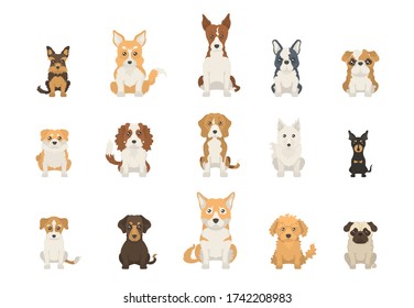 Small dogs set of illustration. Front view of different dogs. Vector.