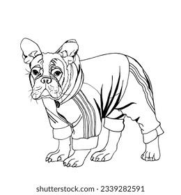 Small domestic dog of the French Bulldog breed, dressed in overalls. Vector illustration EPS 10.