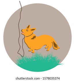 Small domestic dog on a leash, corgi - round icon, isolated on white background - vector. Environmental Protection. Animal world.