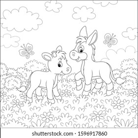 Small donkey and a little calf walking among wild flowers on grass of a summer field on a beautiful sunny day, black and white vector cartoon illustration