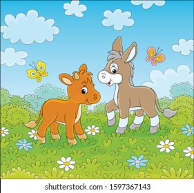 Small donkey and a little calf walking among white and blue flowers on green grass of a summer field on a beautiful sunny day, vector cartoon illustration