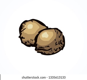 Small dry used sweet pearl ingredient on white backdrop. Yellow color hand drawn vegan gluten farm granule logo sign emblem in retro art cartoon graphic style on space for text. Closeup detail view