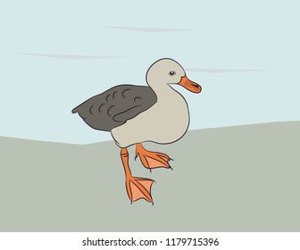 small duck is on nature vector, small duck is on nature vector