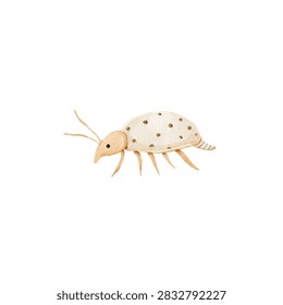 Small dust mite insect side view