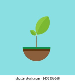 Small earth with green leaf,concept of green eco earth.earth day