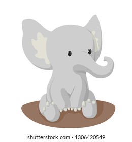 Small elephant sitting on the ground