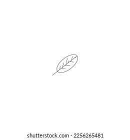 Small feather isolated white