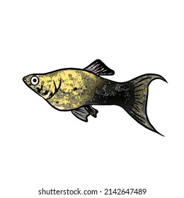 small fish fill the aquarium 002