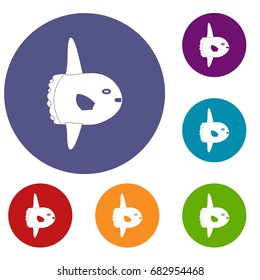 Small fish icons set in flat circle red, blue and green color for web