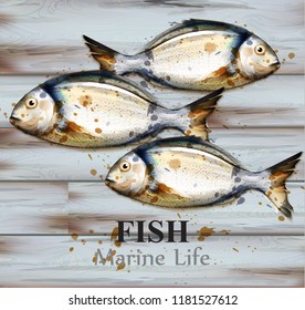 Small fish watercolor Vector isolated on wooden background. Painted style illustrations