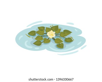 Small flower white lilies among the leaves. Vector illustration on white background.