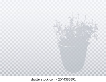 Small flowers in flowerpot. Shadow isolated on transparent background. Vector realistic silhouette with empty space. EPS10. (Lobelia)