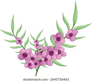 Pequenas Flores Longa Folha Weeds