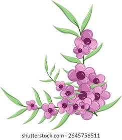 Pequenas Flores Longa Folha Weeds