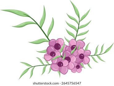 Small Flowers Long Leaf Weeds