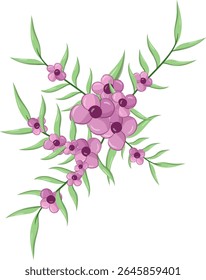 Small Flowers Long Leaf Weeds