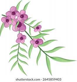 Small Flowers Long Leaf Weeds